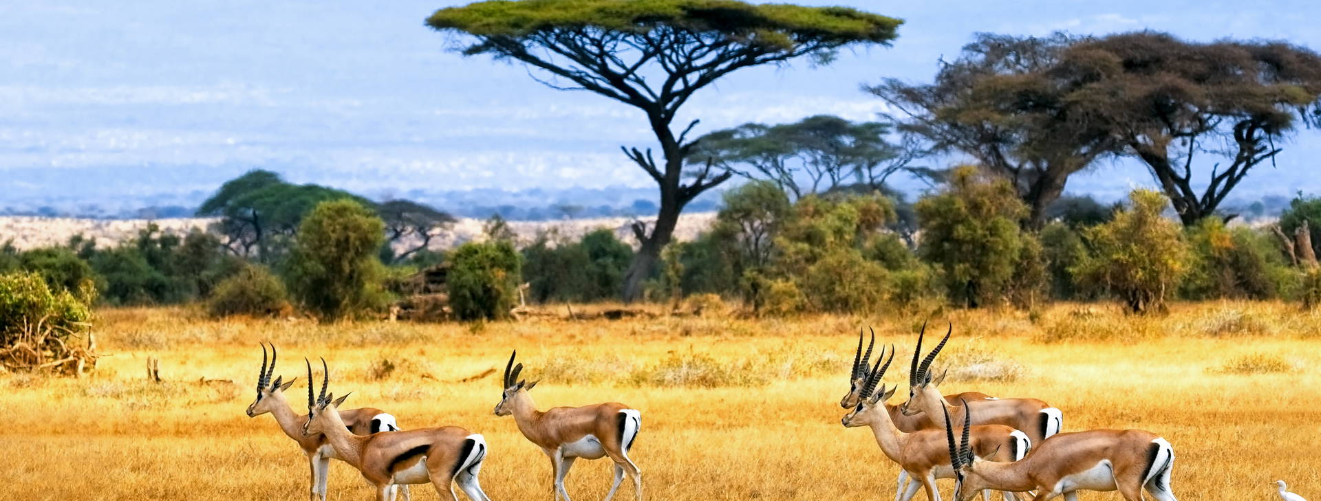 Neptune Palm Beach Boutique Resort & SPA KST Obrázok5