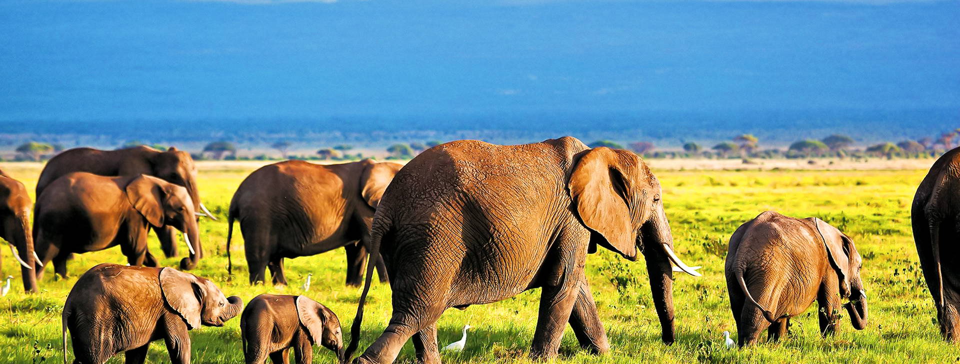 Hotel Reef KSS Obrázok2