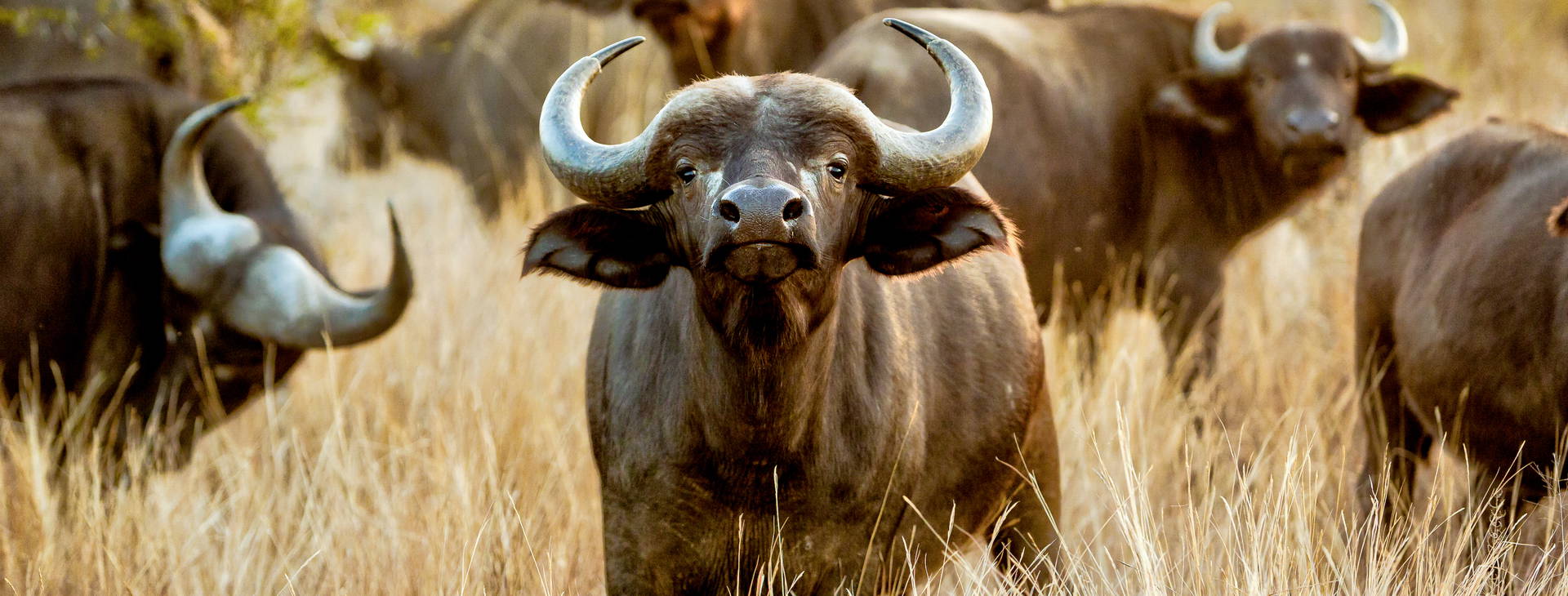 Hotel Reef KSS Obrázok12