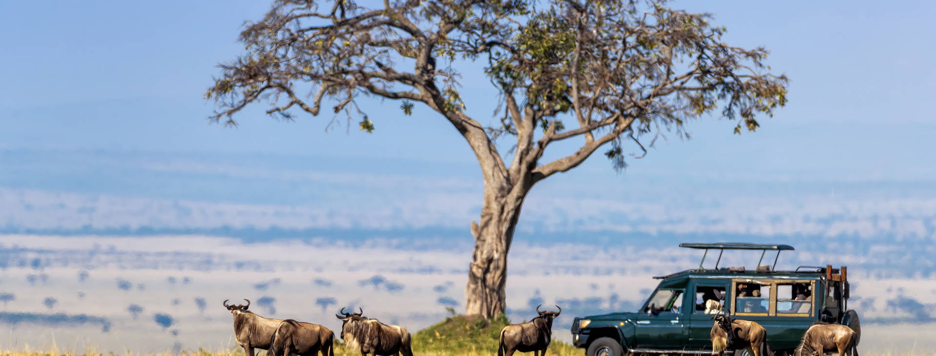 Hotel Reef KSS Obrázok10