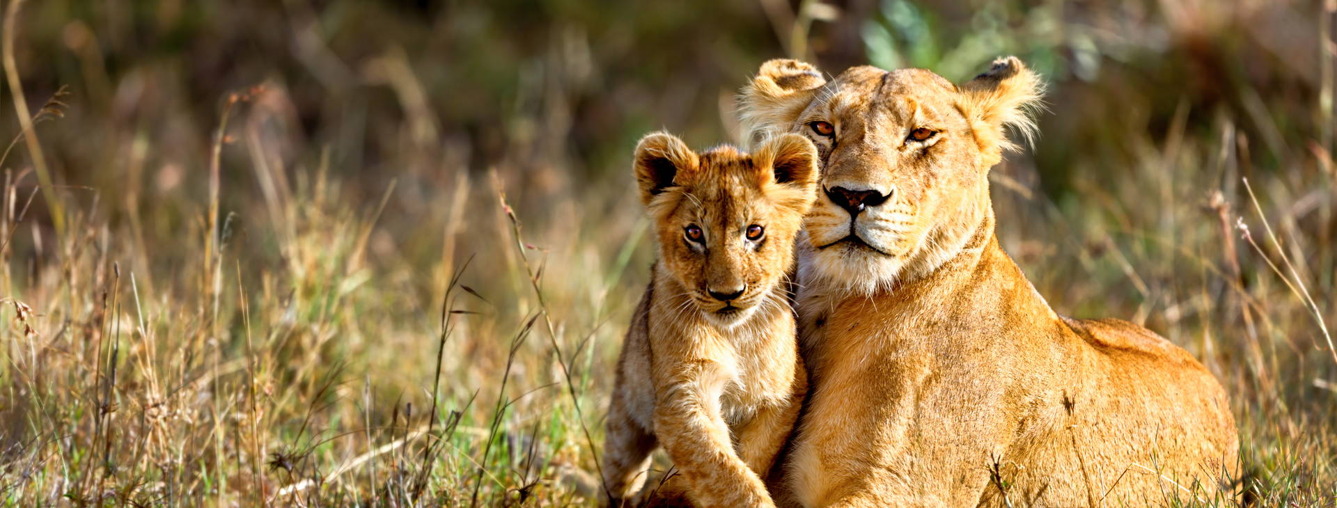 Hotel Reef KST Obrázok7