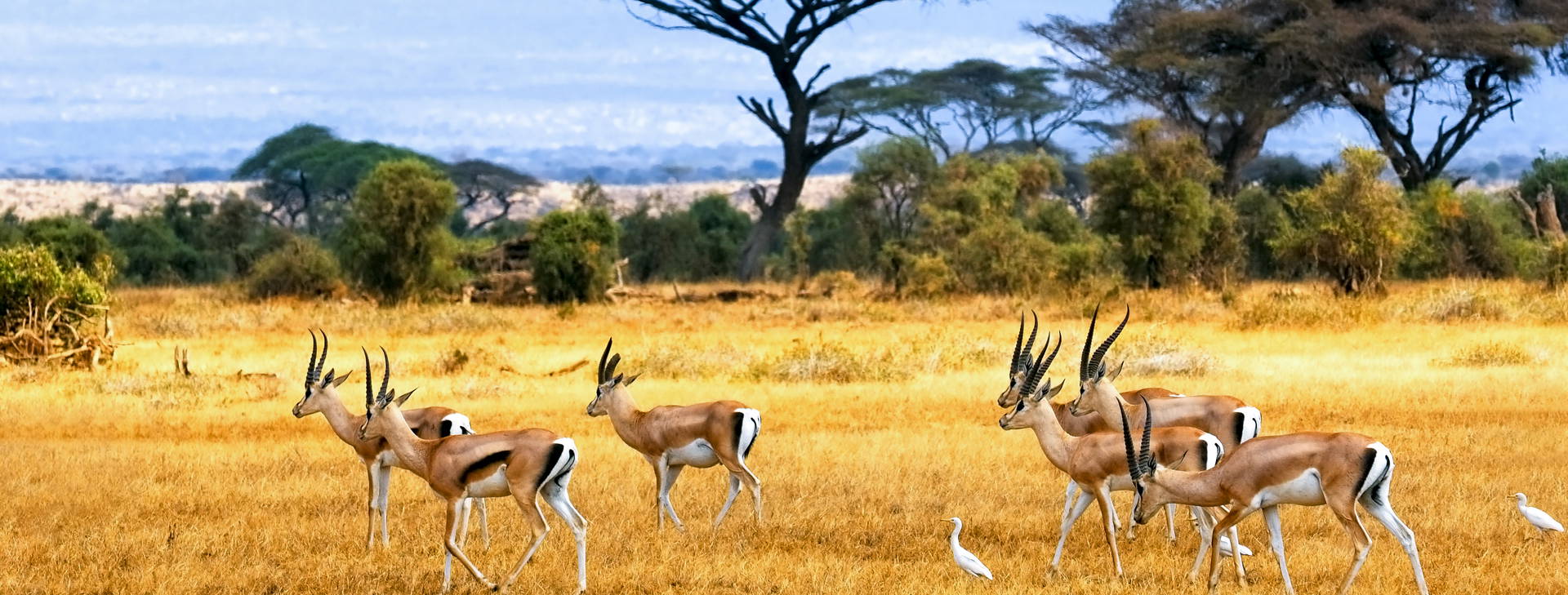 Hotel Reef KST Obrázok15