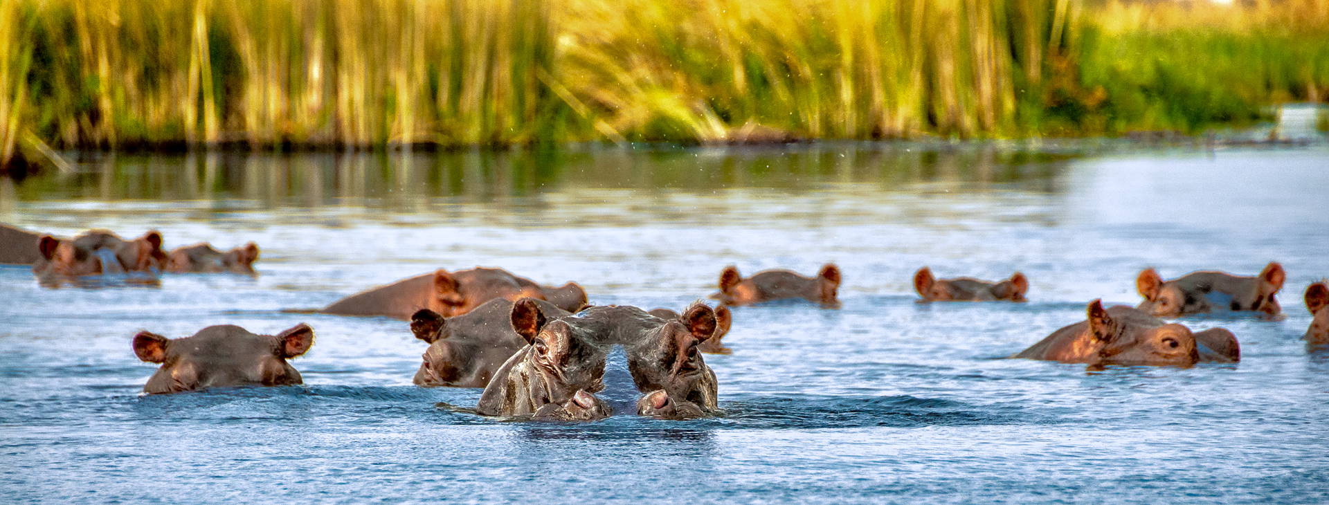 Hotel Reef KST Obrázok10