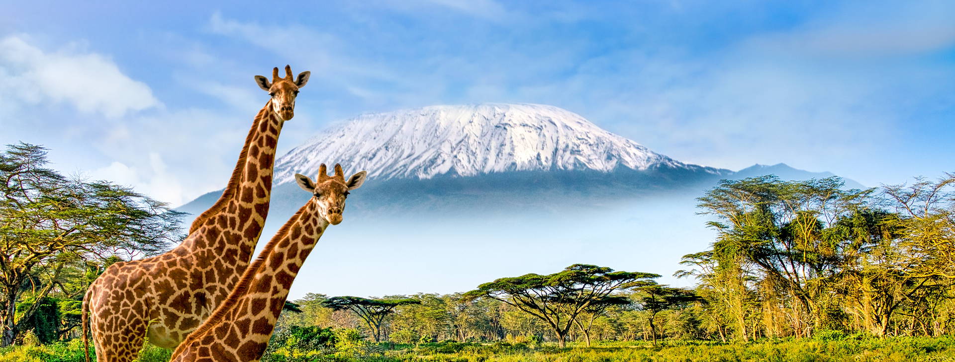 Hotel Reef KST Obrázok1