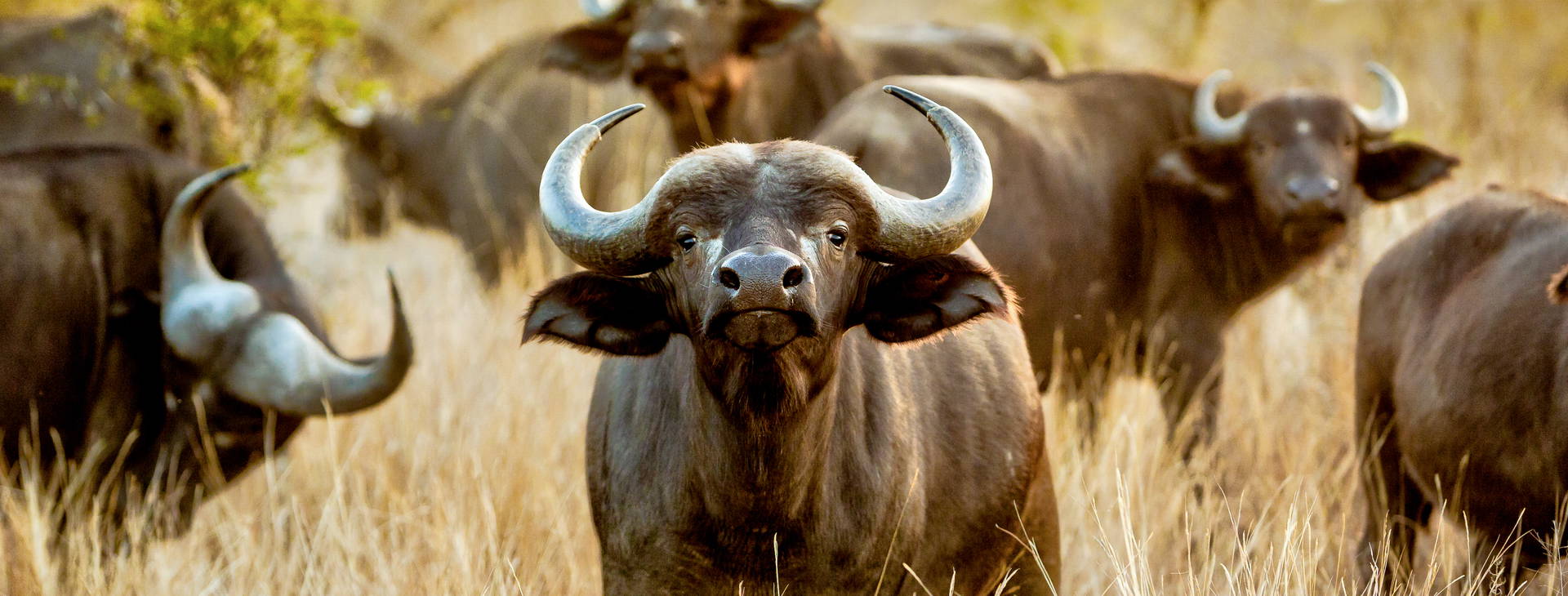 Neptune Paradise Beach Resort & SPA KSS Obrázok10