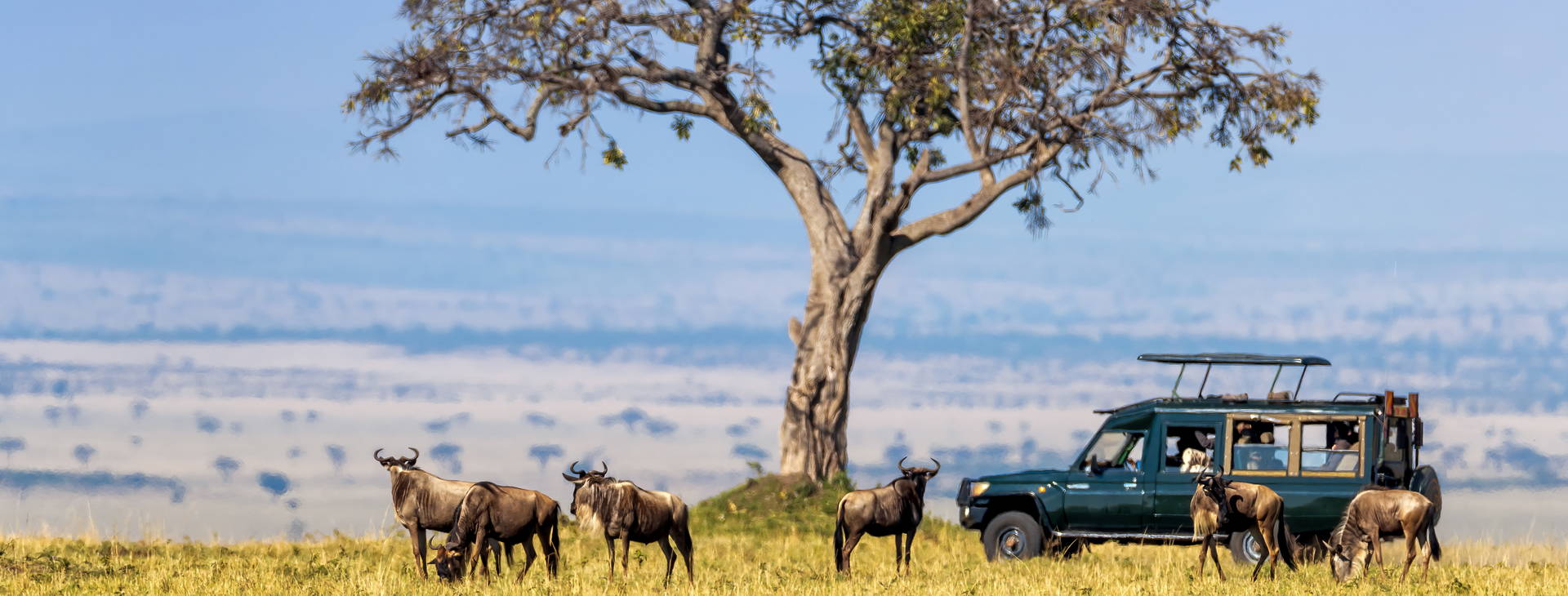 Neptune Paradise Beach Resort & SPA KSS Obrázok8