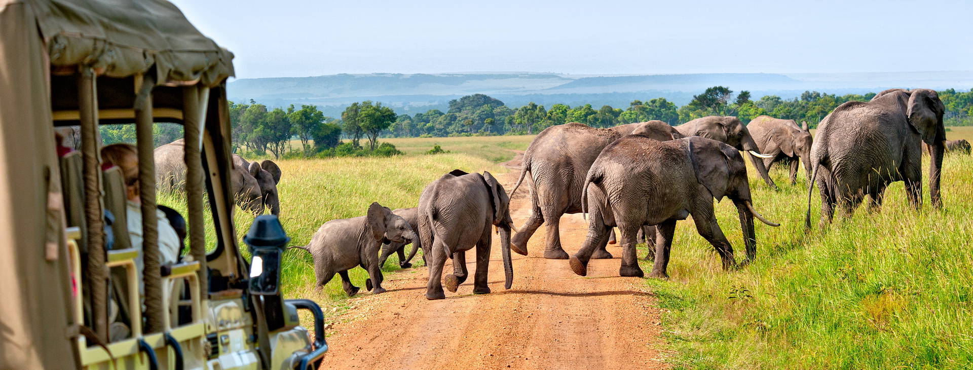 Neptune Paradise Beach Resort & SPA KSS Obrázok14