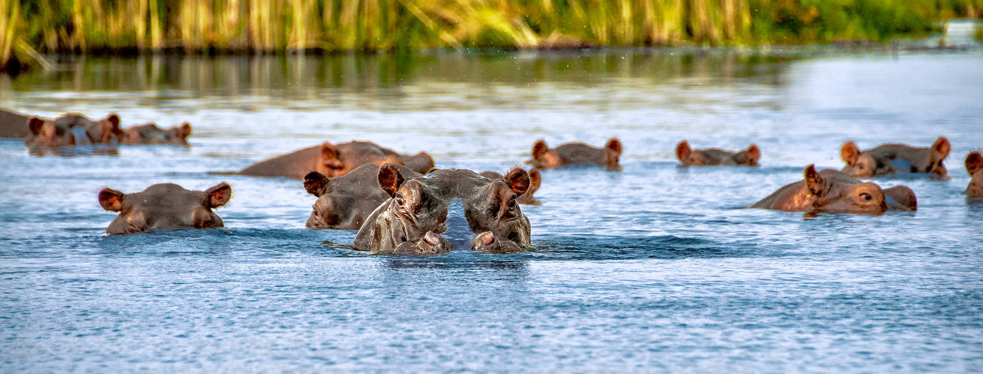 Neptune Paradise Beach Resort & SPA KST Obrázok12