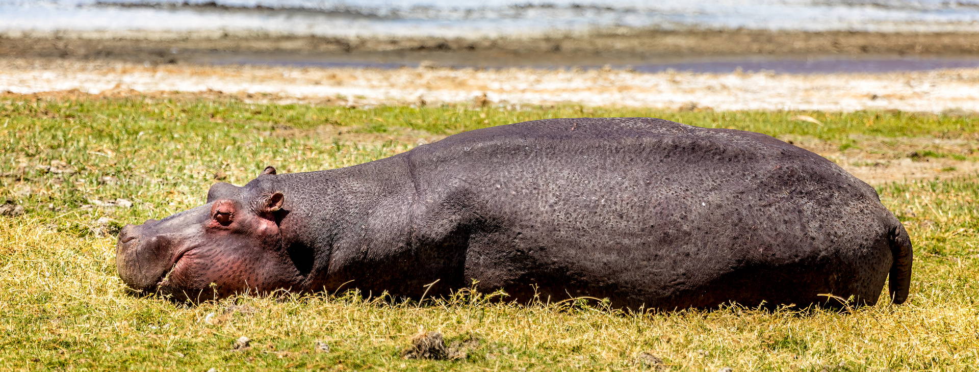 Leopard Beach Resort & SPA KST Obrázok16