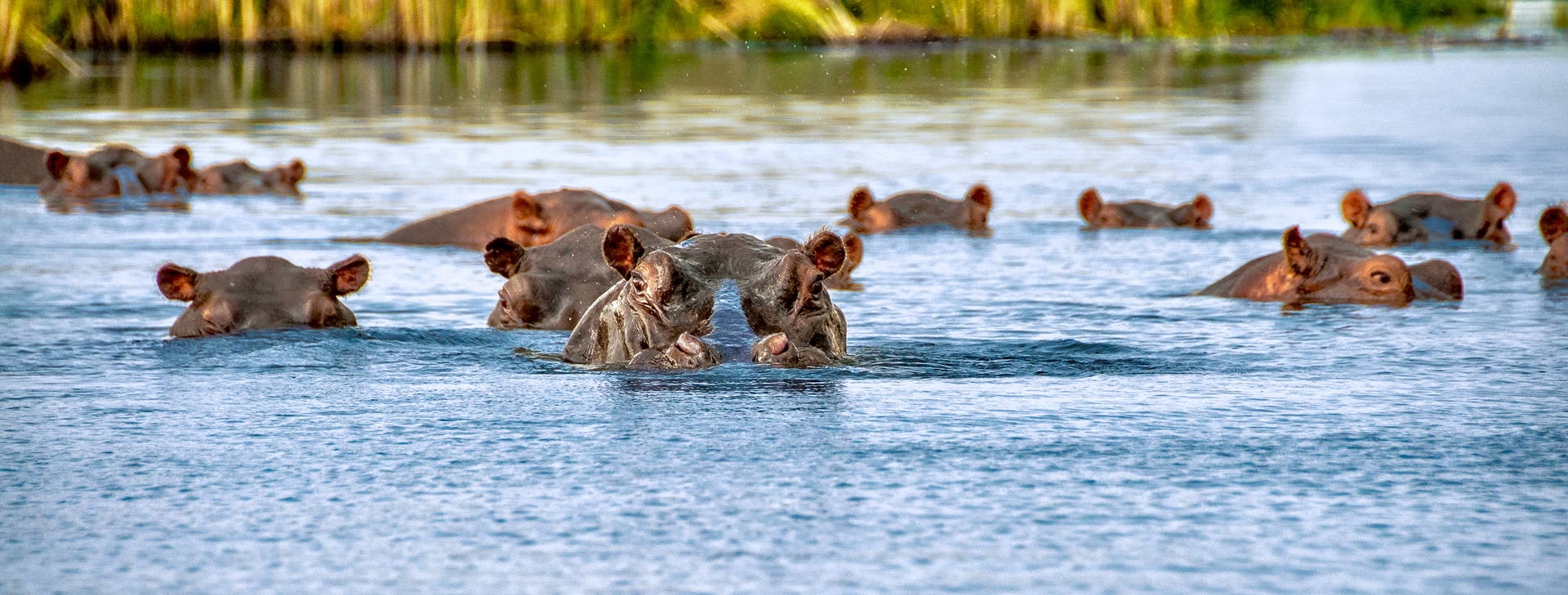 Leopard Beach Resort & SPA KST Obrázok10