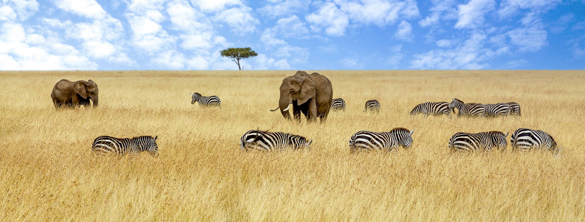 Jacaranda Indian Ocean Beach Resort KSS Obrázok5