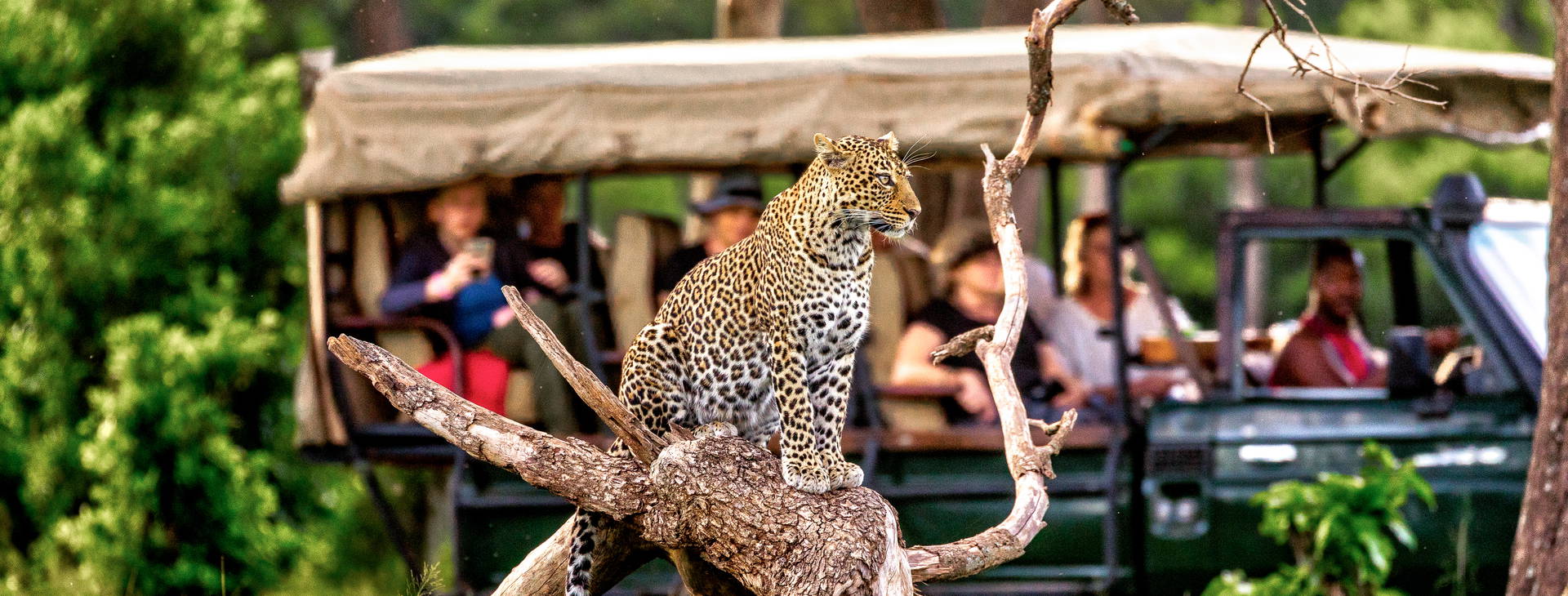 Jacaranda Indian Ocean Beach Resort KSS Obrázok11