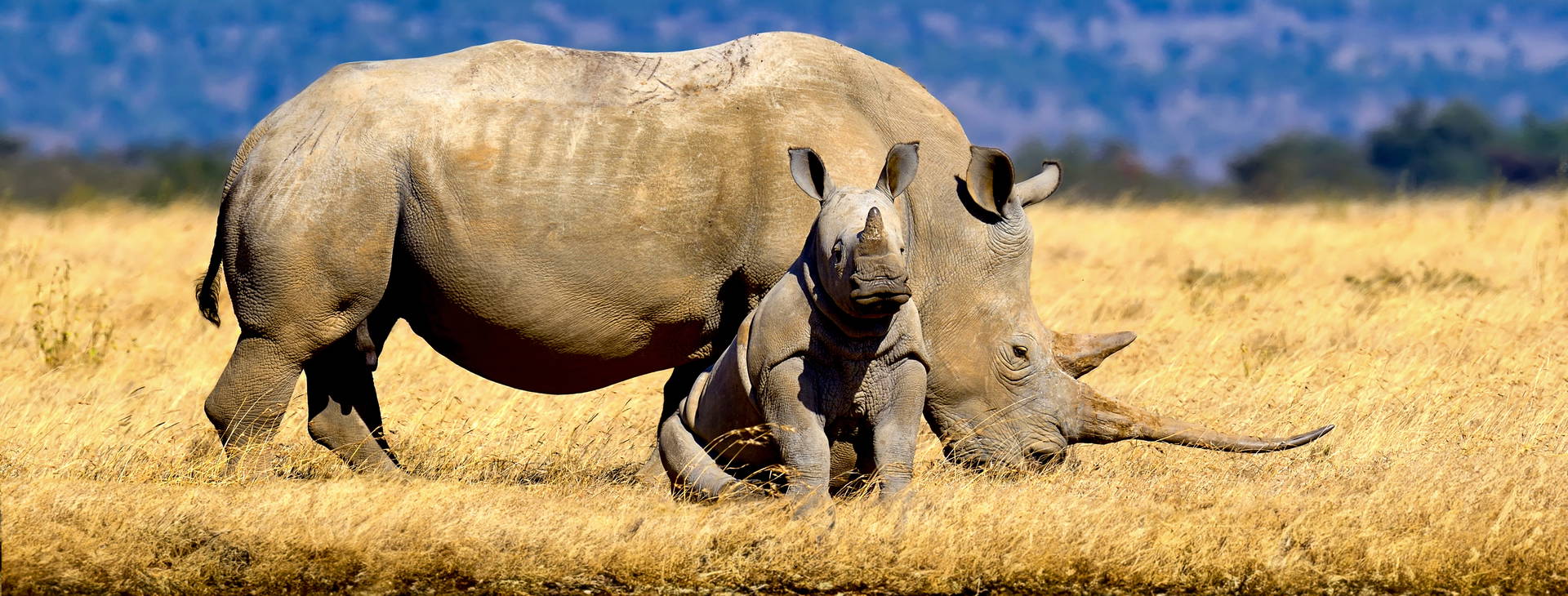 Jacaranda Indian Ocean Beach Resort KSS Obrázok6