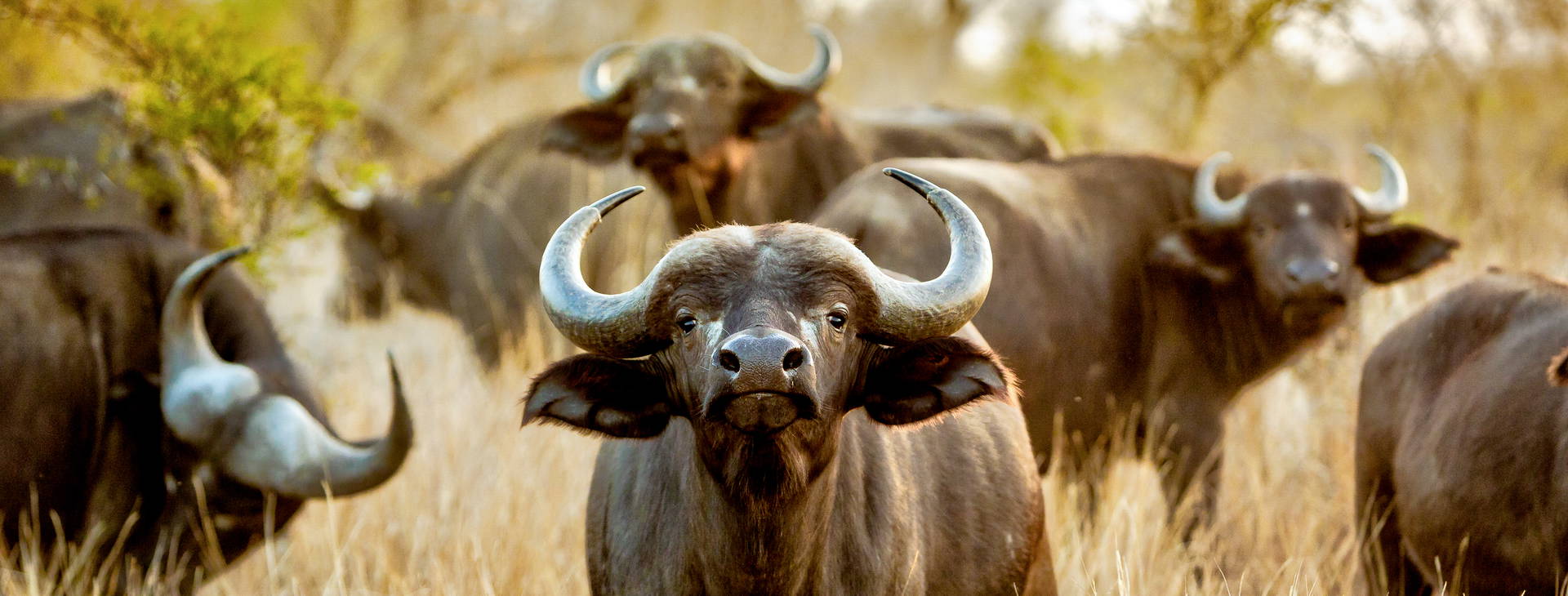 Jacaranda Indian Ocean Beach Resort KSS Obrázok9