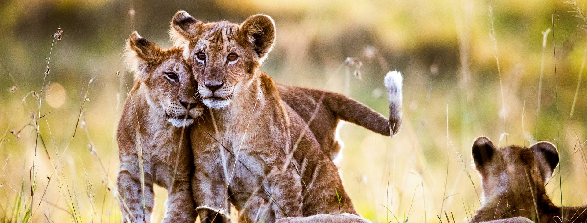 Jacaranda Indian Ocean Beach Resort KSS Obrázok3