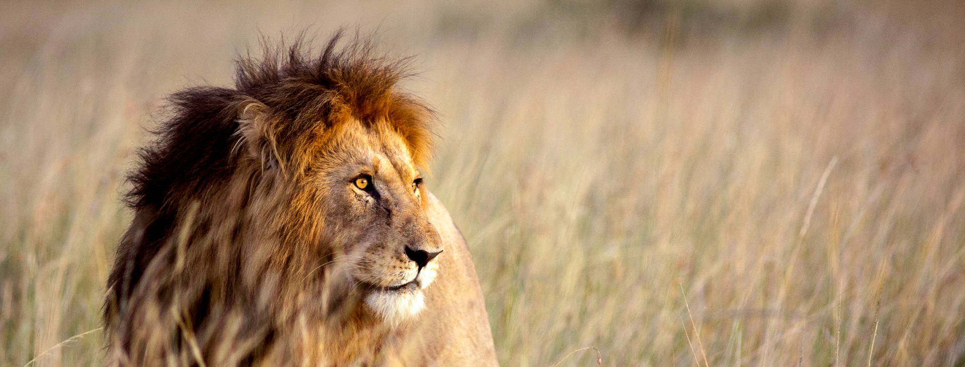 Jacaranda Indian Ocean Beach Resort KSS Obrázok13