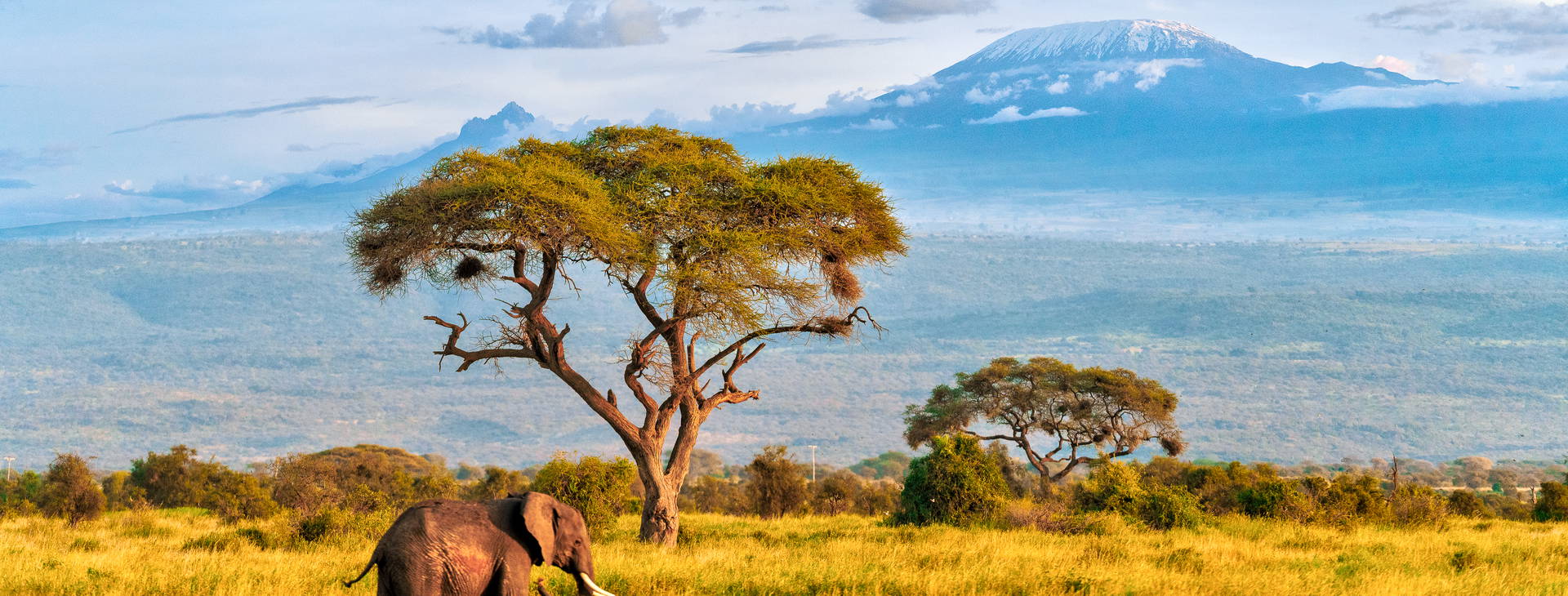 Jacaranda Indian Ocean Beach Resort KST Obrázok7