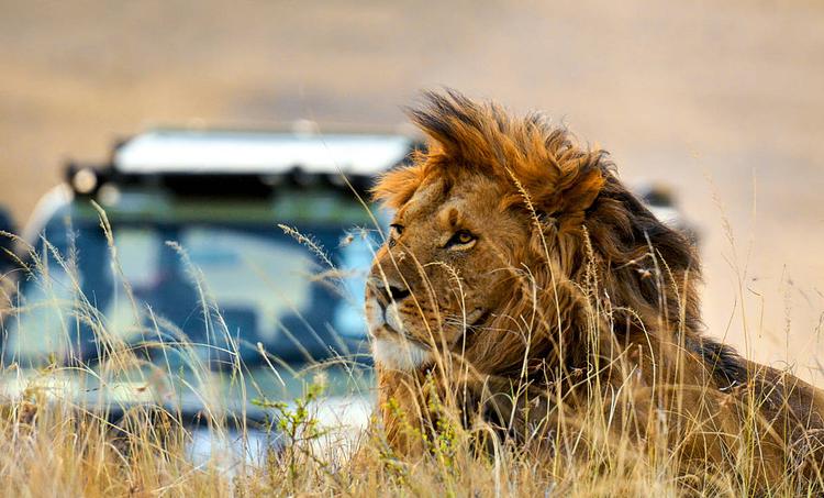 Jacaranda Indian Ocean Beach Resort KST-obr
