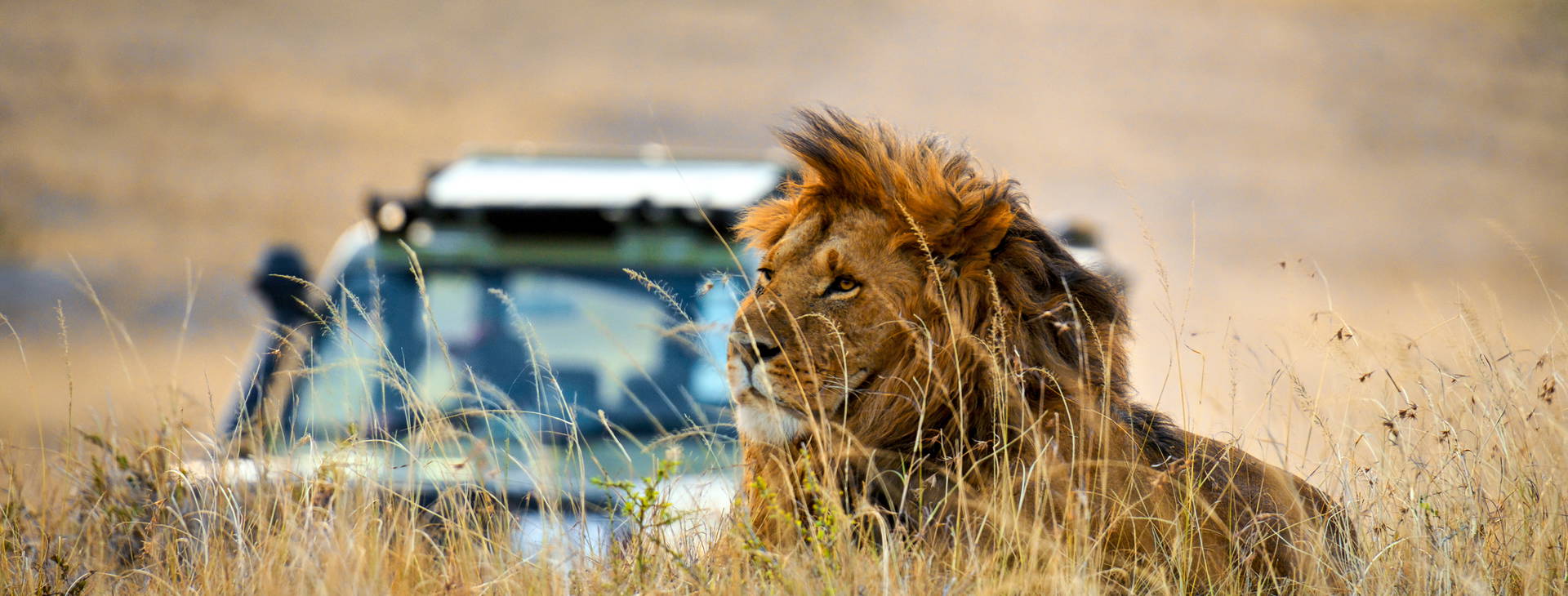 Jacaranda Indian Ocean Beach Resort KST Obrázok6