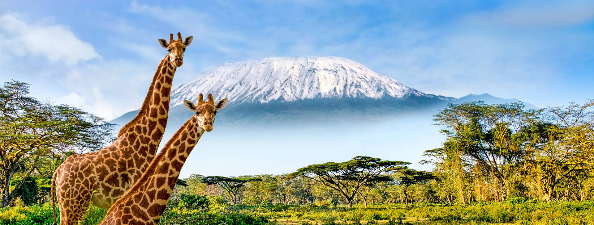 Jacaranda Indian Ocean Beach Resort KST Obrázok11