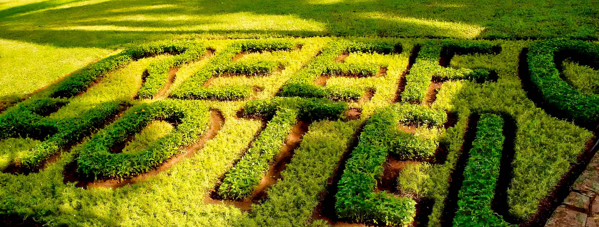 Hotel Reef Obrázok13