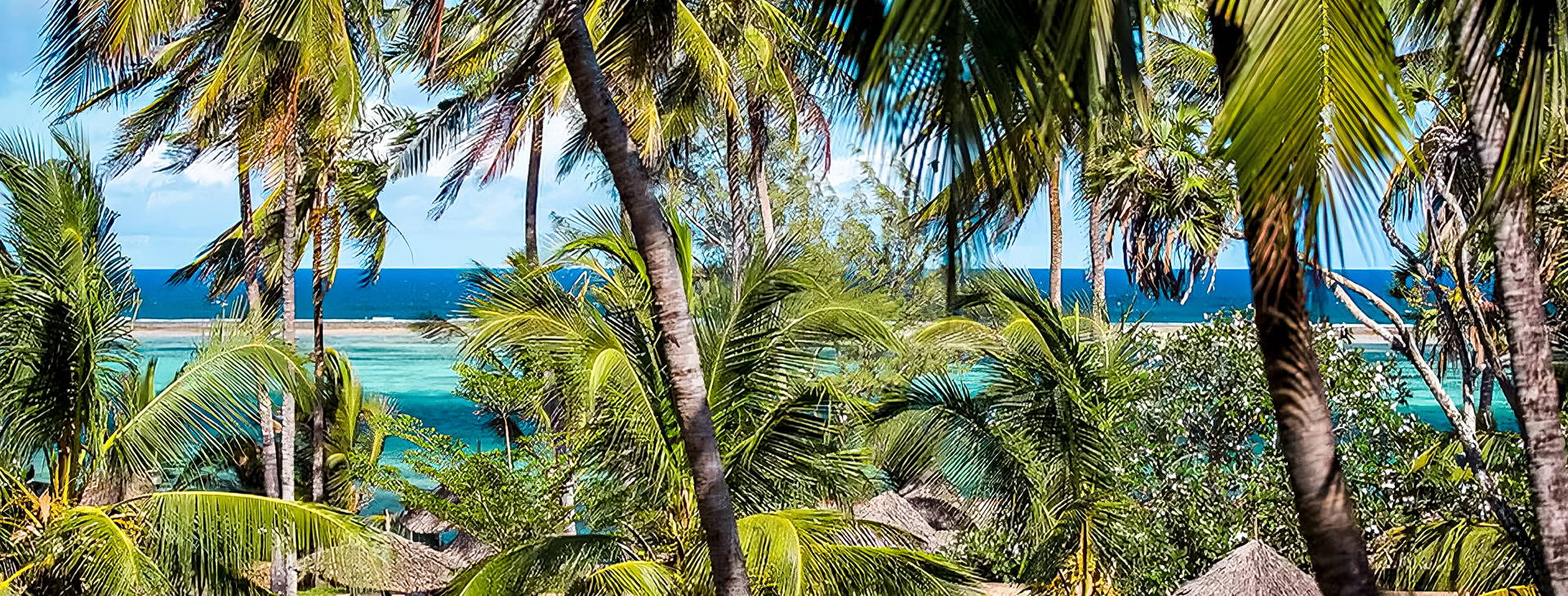 Hotel Reef KSS Obrázok16