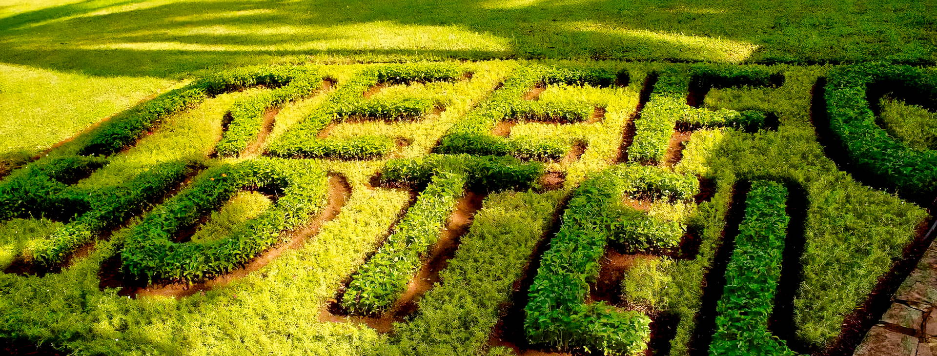 Hotel Reef KSS Obrázok17