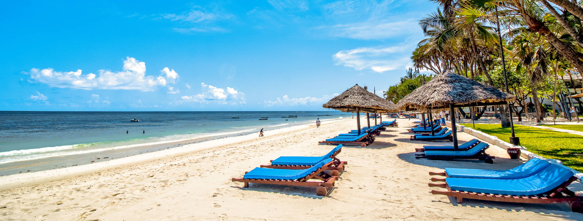 Southern Palms Obrázok5