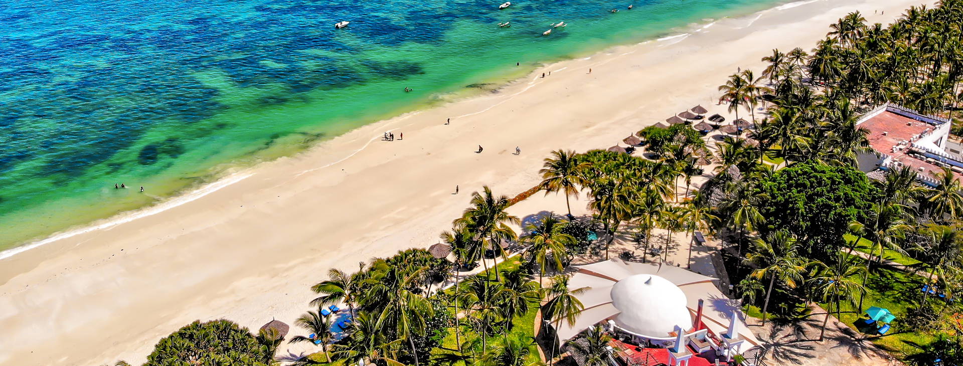 Southern Palms Obrázok25