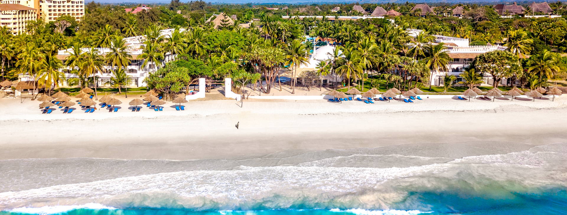 Southern Palms Obrázok8