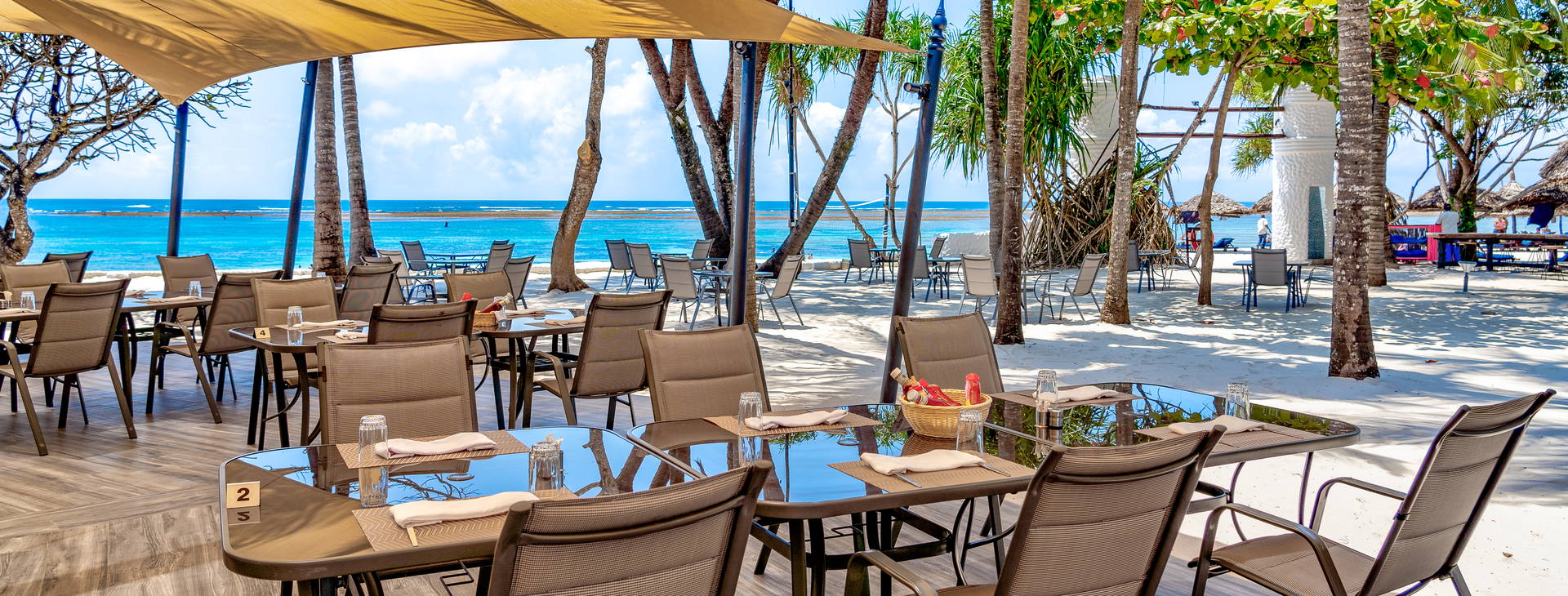 Southern Palms Obrázok20