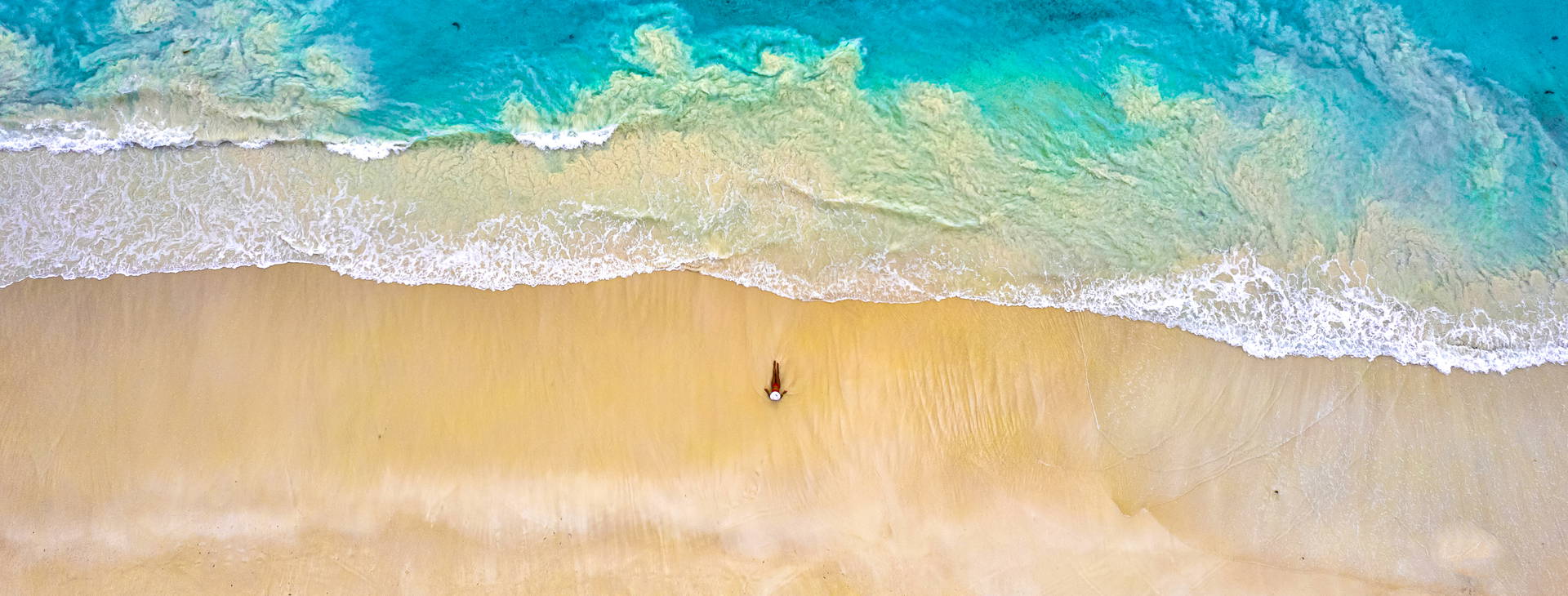 Southern Palms Obrázok11