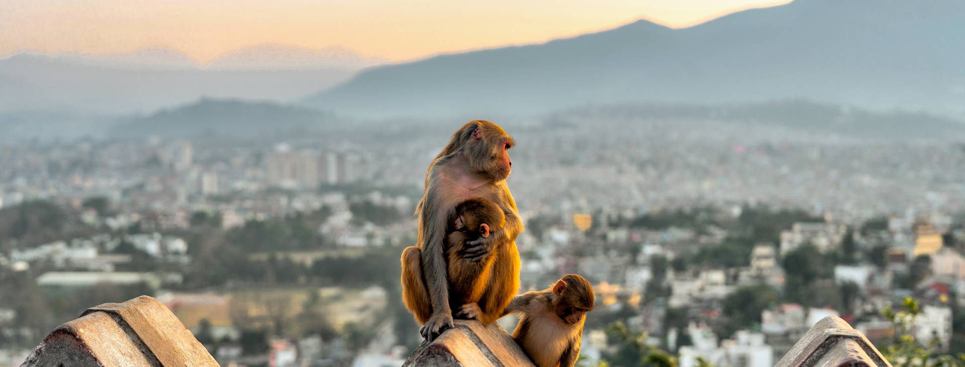 Ubytování IND Obrázok30