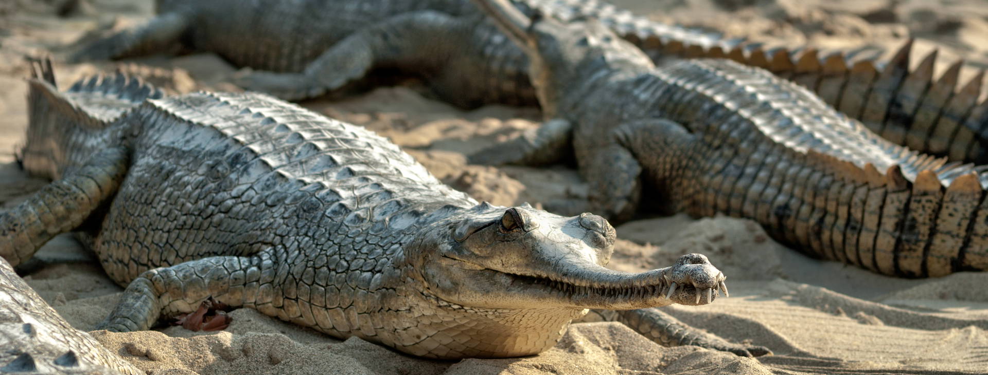 Ubytování IND Obrázok46