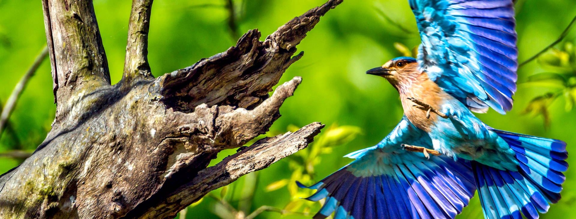 Ubytování IND Obrázok49