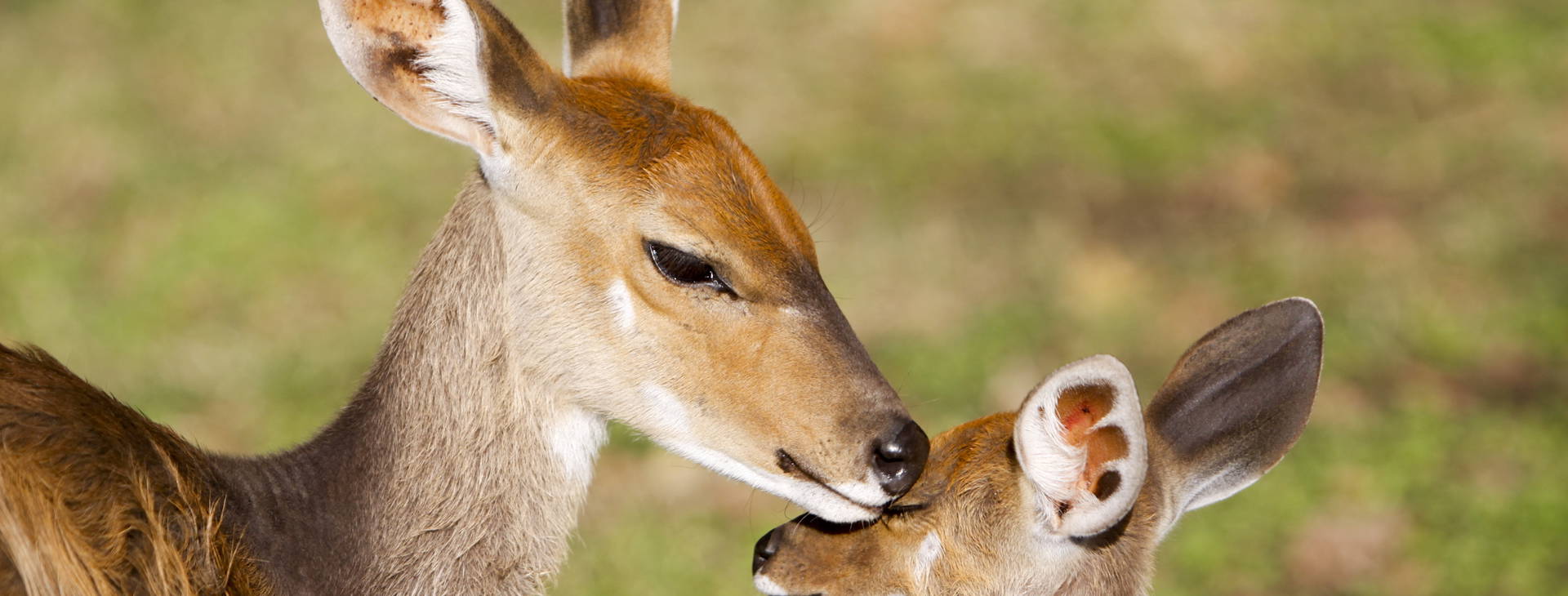 Ubytování GHA Obrázok5