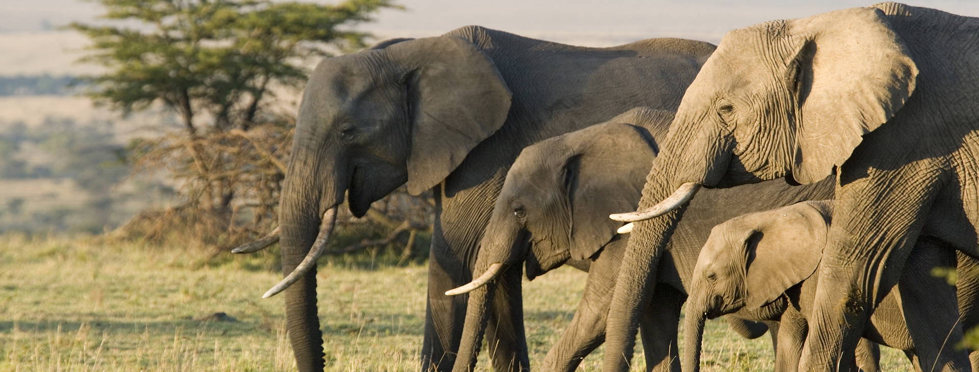 Ubytování GHA Obrázok11