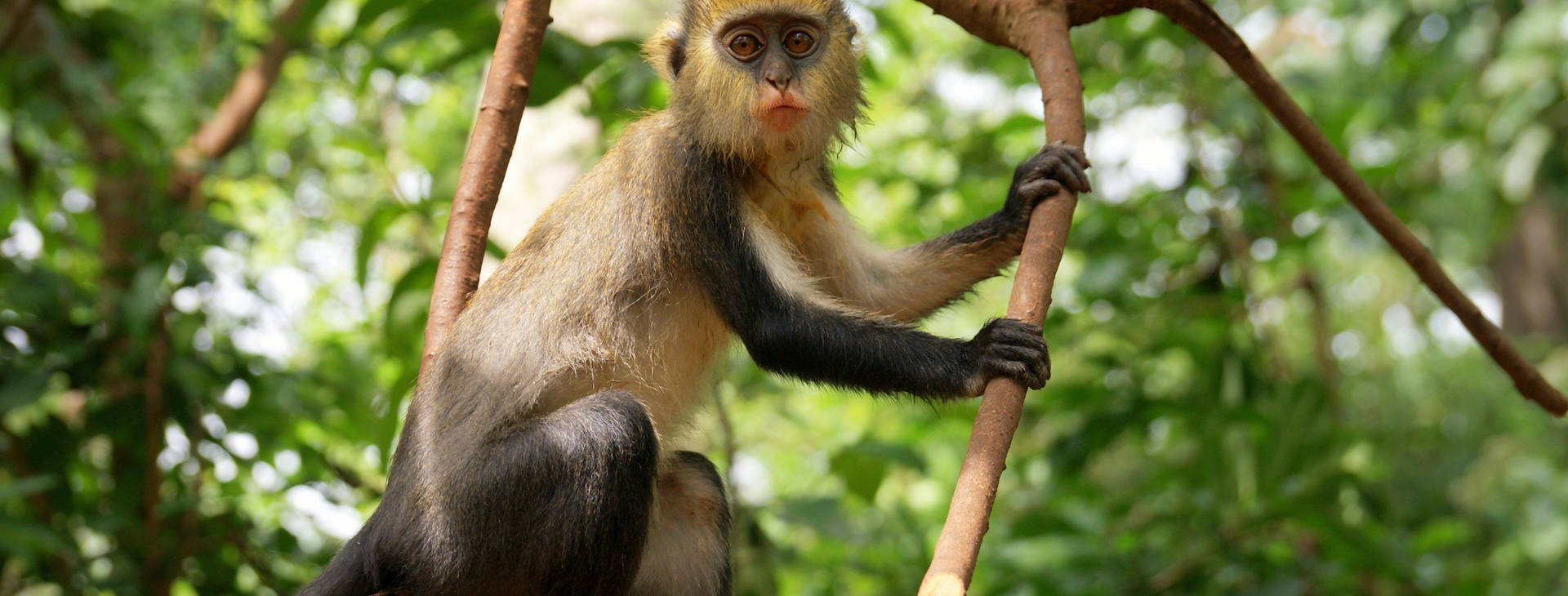 Ubytování GHA Obrázok0