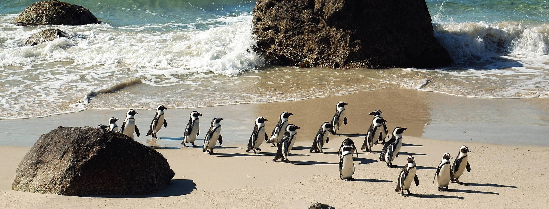 Ubytování RPG Obrázok4