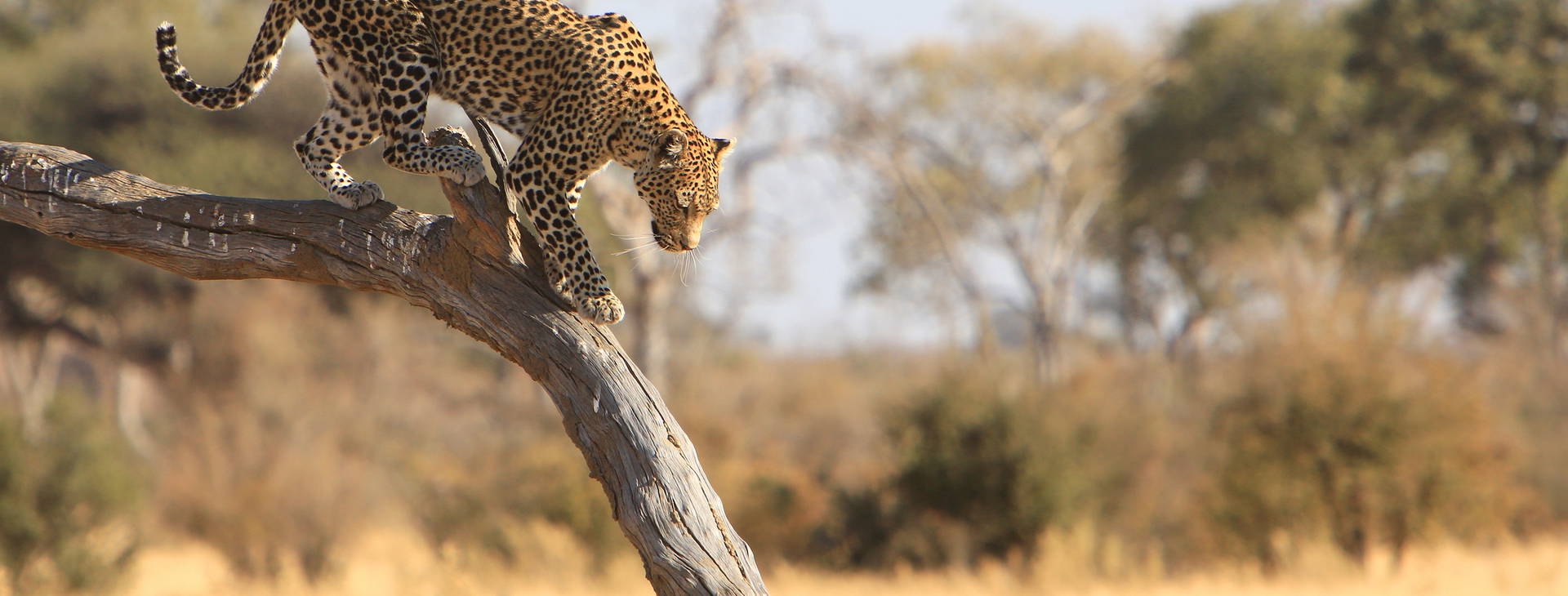 Ubytování RPG Obrázok8