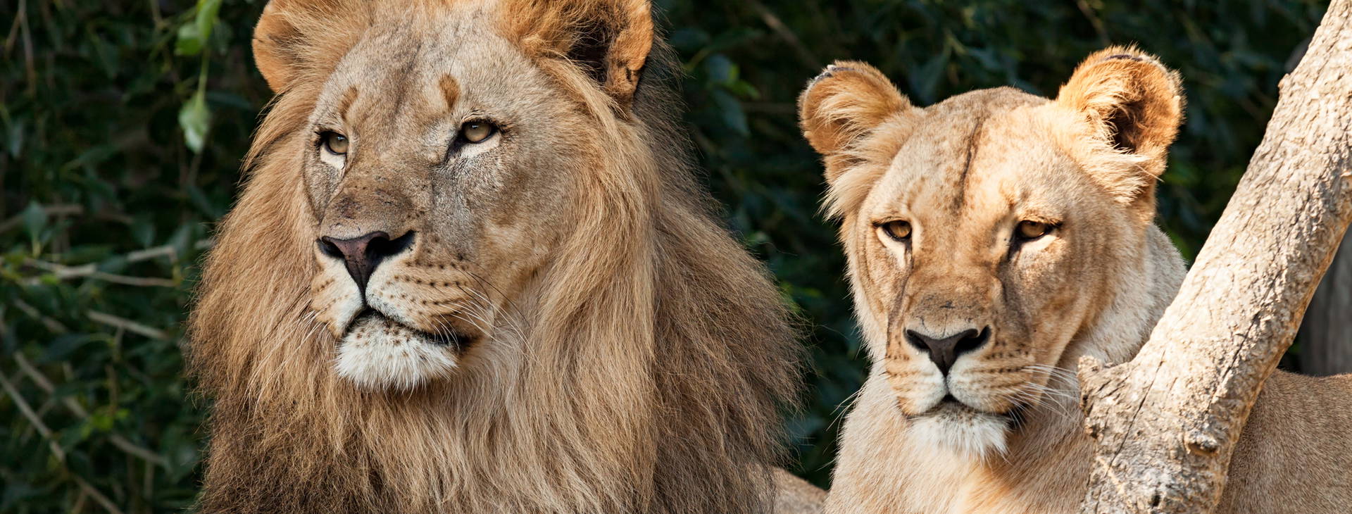 Ubytování RPG Obrázok13