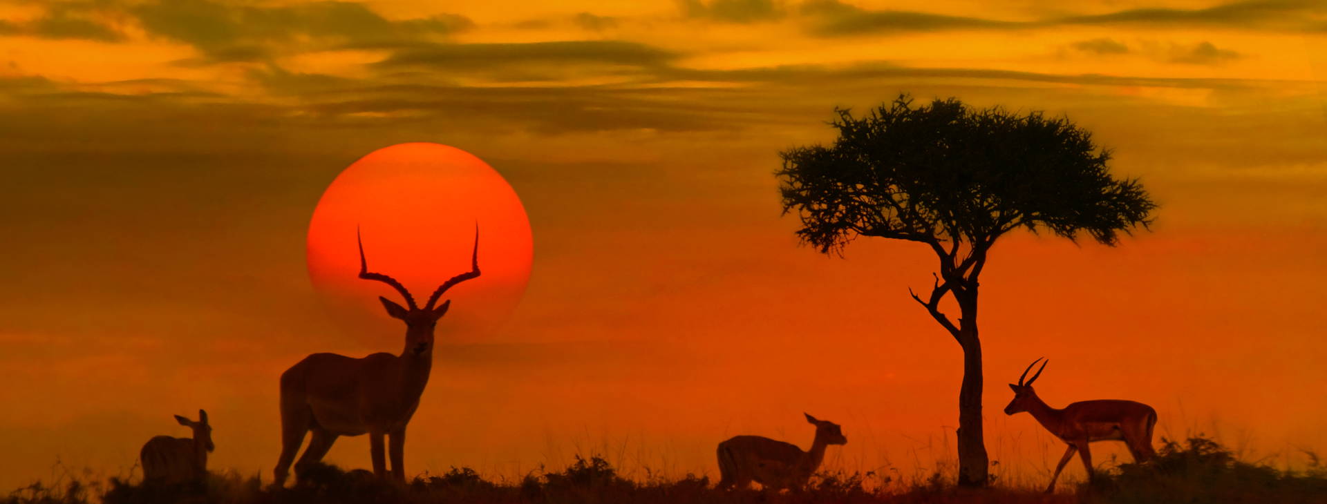 Ubytování RPG Obrázok7