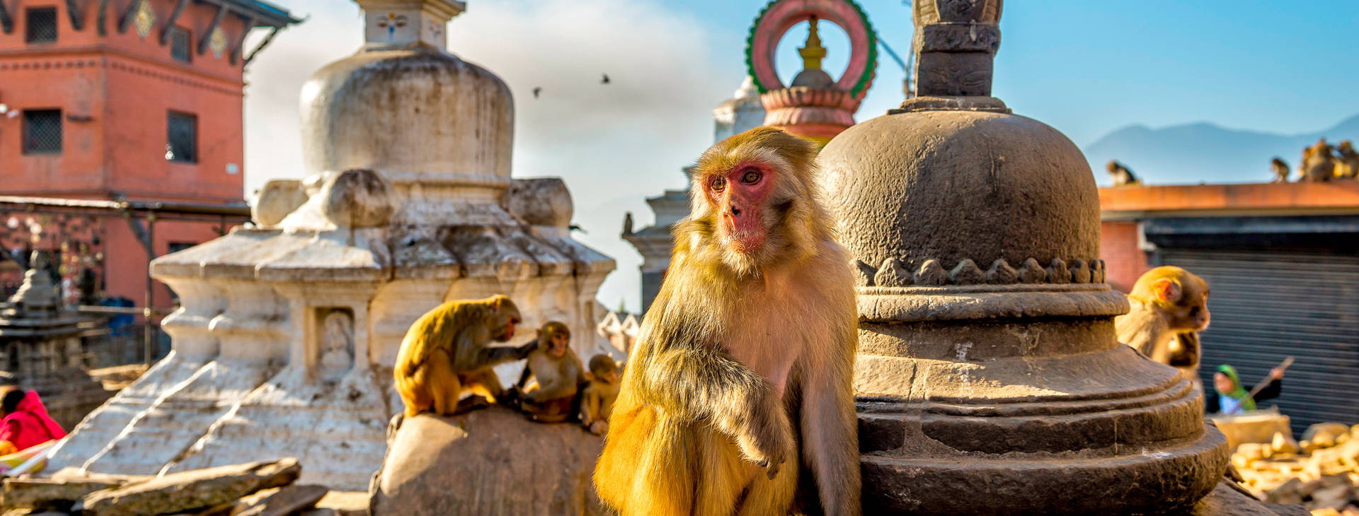 Ubytování INB Obrázok6