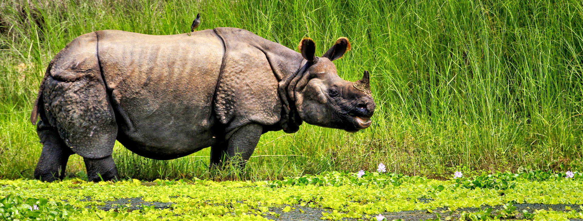 Ubytování INB Obrázok24