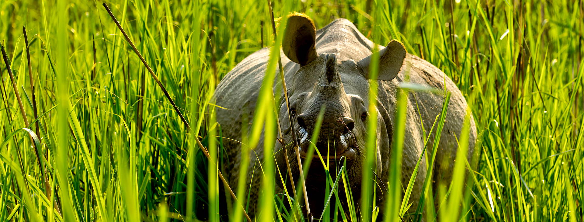 Ubytování INB Obrázok9