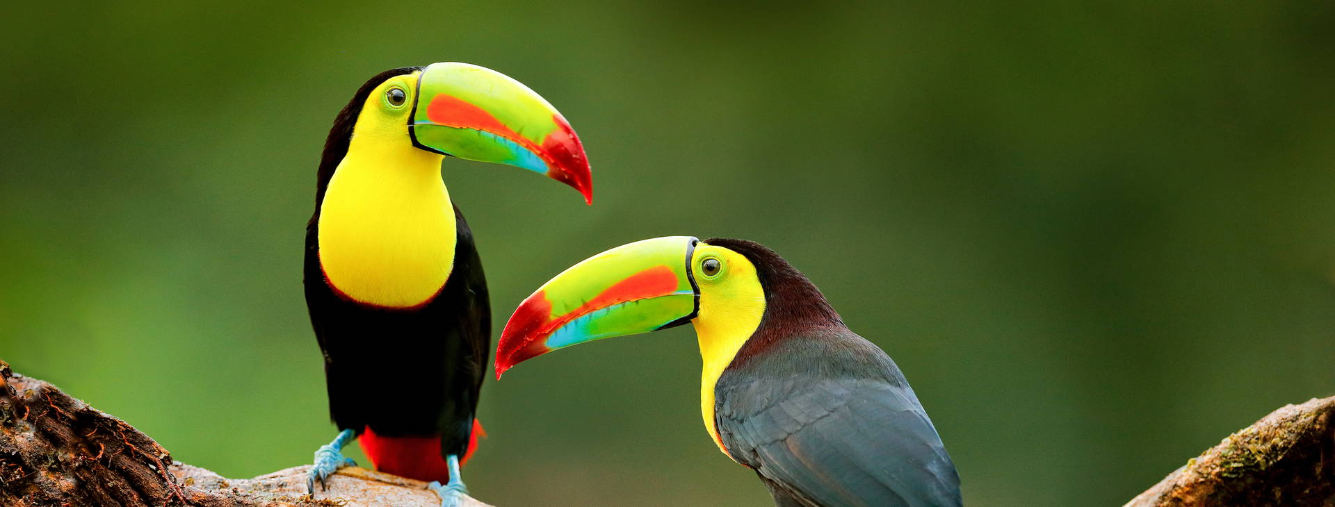 Ubytování KML Obrázok0