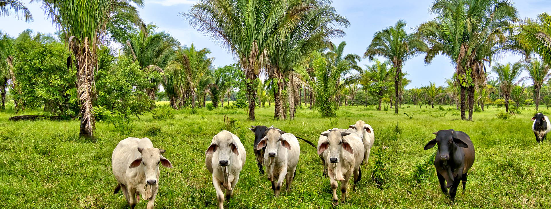 Ubytování KML Obrázok16