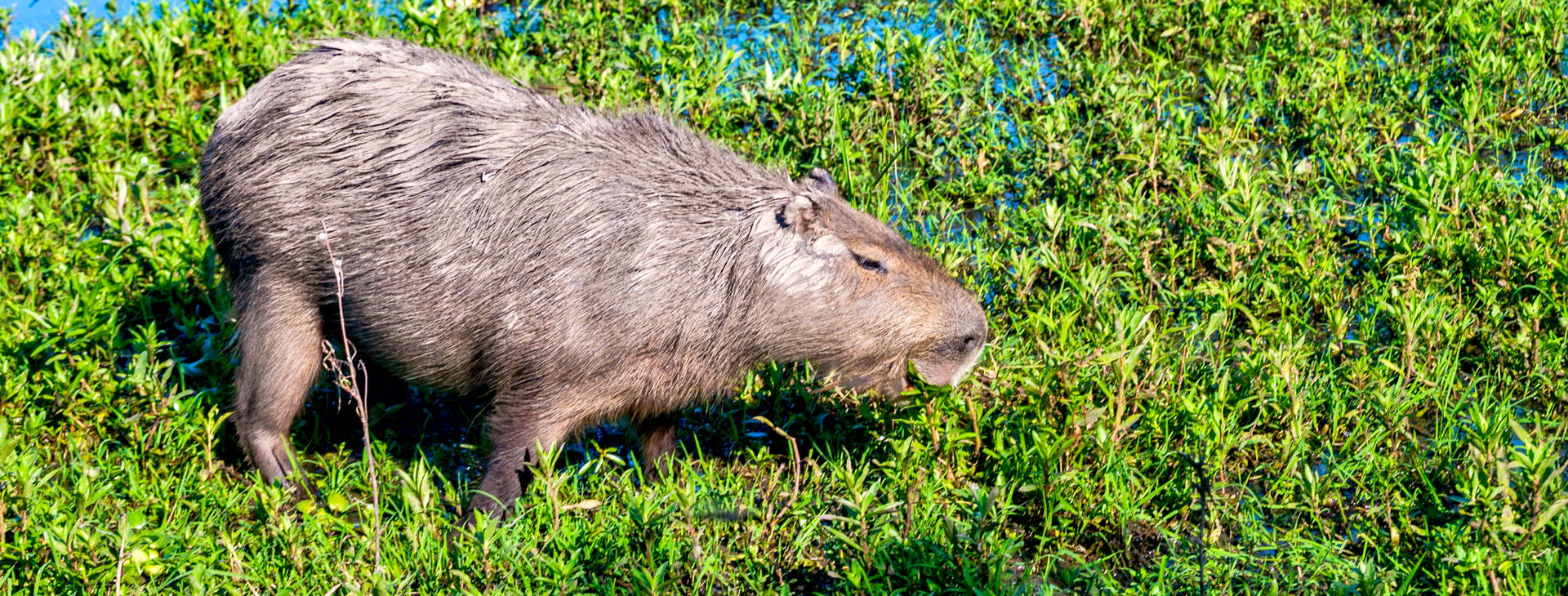 Ubytování KML Obrázok11