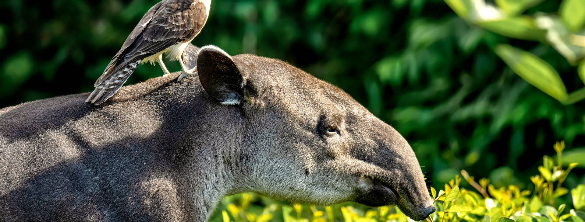 Ubytování KML Obrázok10