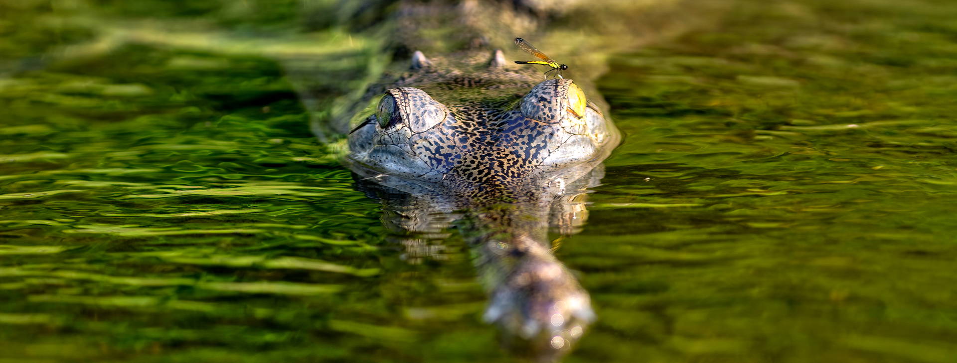 Ubytování INB Obrázok8